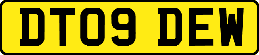 DT09DEW
