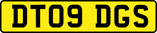 DT09DGS