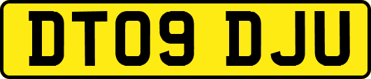 DT09DJU