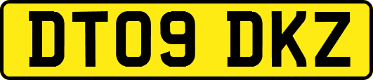 DT09DKZ