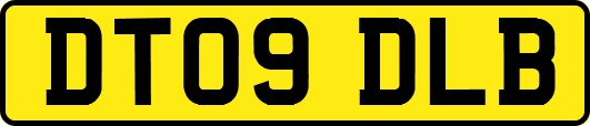 DT09DLB