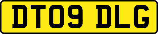 DT09DLG