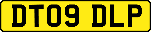 DT09DLP