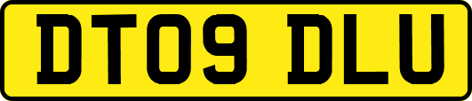 DT09DLU