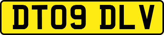 DT09DLV