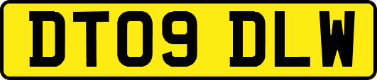 DT09DLW