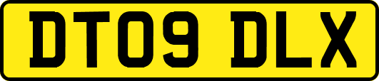 DT09DLX