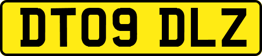 DT09DLZ
