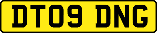 DT09DNG