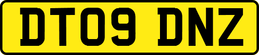 DT09DNZ