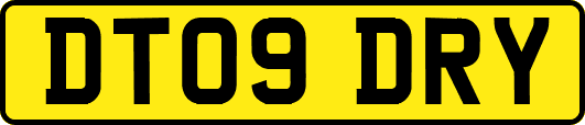 DT09DRY