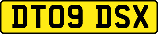DT09DSX
