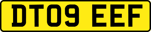 DT09EEF