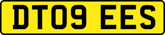 DT09EES