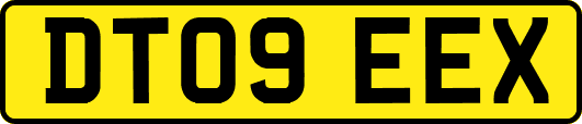 DT09EEX
