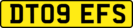 DT09EFS