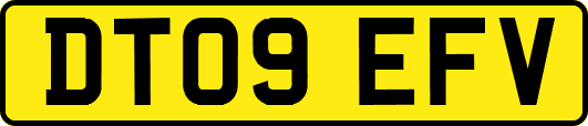 DT09EFV