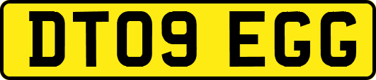 DT09EGG