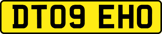 DT09EHO