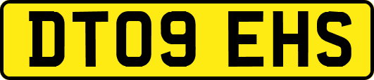 DT09EHS
