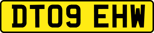 DT09EHW