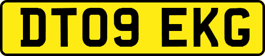DT09EKG