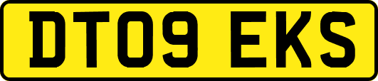 DT09EKS