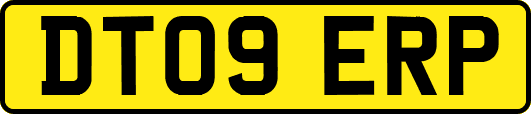 DT09ERP