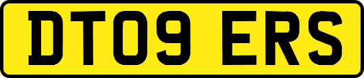 DT09ERS