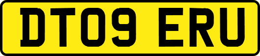 DT09ERU