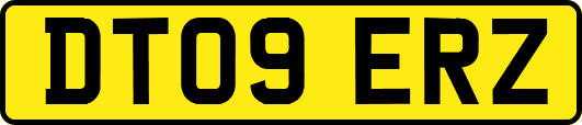 DT09ERZ