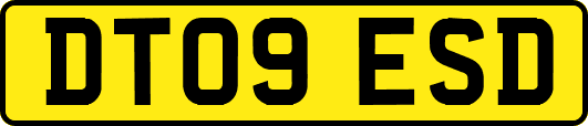 DT09ESD