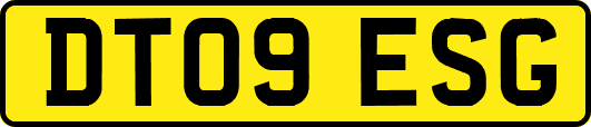 DT09ESG