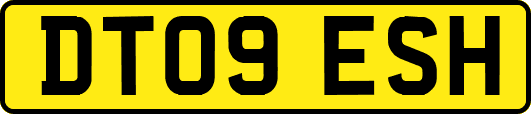 DT09ESH