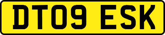 DT09ESK