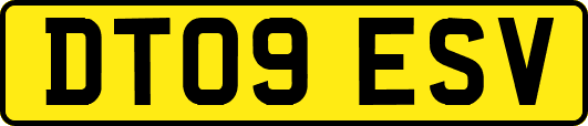 DT09ESV