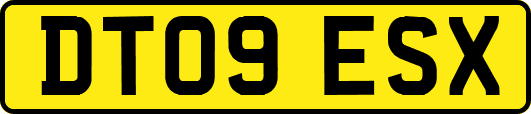 DT09ESX