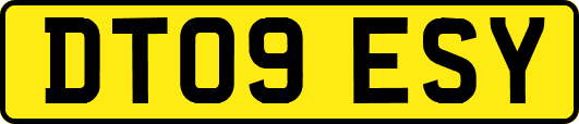 DT09ESY