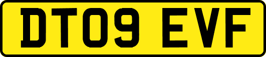DT09EVF