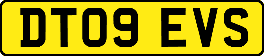 DT09EVS