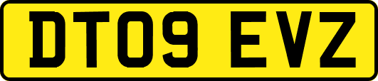 DT09EVZ