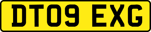 DT09EXG