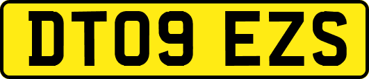 DT09EZS
