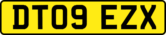 DT09EZX