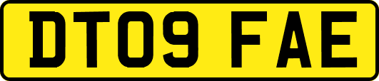 DT09FAE