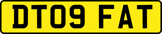 DT09FAT