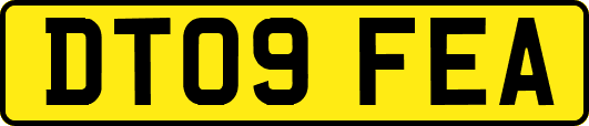 DT09FEA