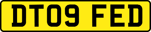 DT09FED