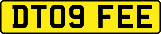 DT09FEE