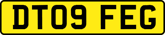 DT09FEG